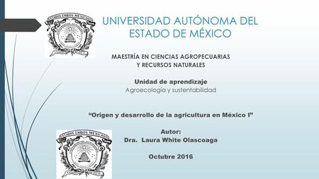 UNIVERSIDAD AUTÓNOMA DEL ESTADO DE MÉXICO