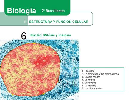 6 Biología II. 2º Bachillerato ESTRUCTURA Y FUNCIÓN CELULAR