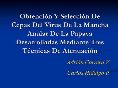 Obtención Y Selección De Cepas Del Virus De La Mancha Anular De La Papaya Desarrolladas Mediante Tres Técnicas De Atenuación Adrián Carrera V. Carlos Hidalgo.