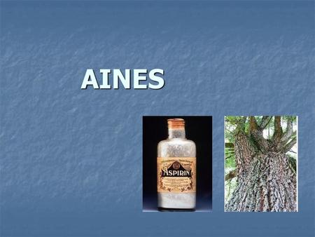 AINES.