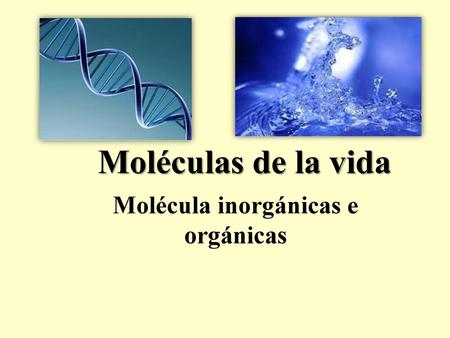 Molécula inorgánicas e orgánicas