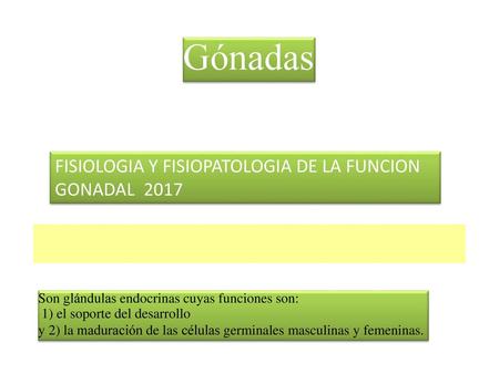 Gónadas FISIOLOGIA Y FISIOPATOLOGIA DE LA FUNCION GONADAL 2017