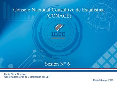 Consejo Nacional Consultivo de Estadística (CONACE)