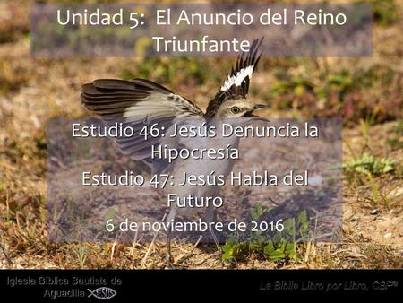 Unidad 5: El Anuncio del Reino Triunfante