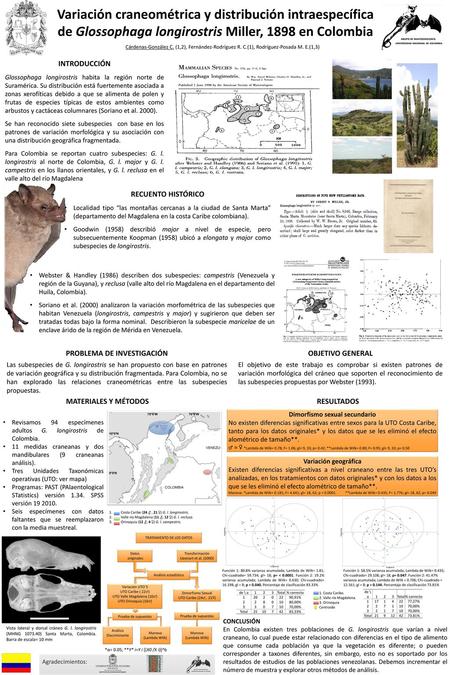 PROBLEMA DE INVESTIGACIÓN Dimorfismo sexual secundario