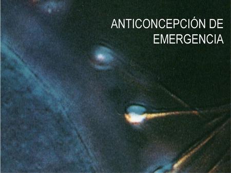 ANTICONCEPCIÓN DE EMERGENCIA