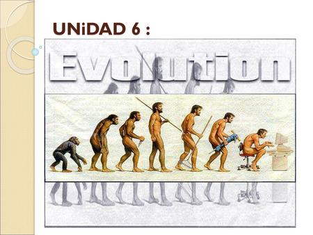 UNiDAD 6 :.