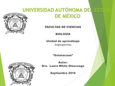 UNIVERSIDAD AUTÓNOMA DEL ESTADO DE MÉXICO