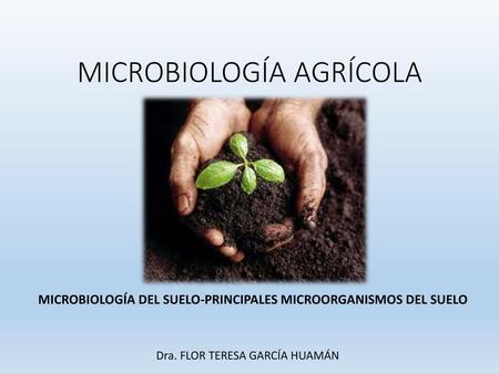 MICROBIOLOGÍA AGRÍCOLA