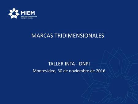 TALLER INTA - DNPI Montevideo, 30 de noviembre de 2016