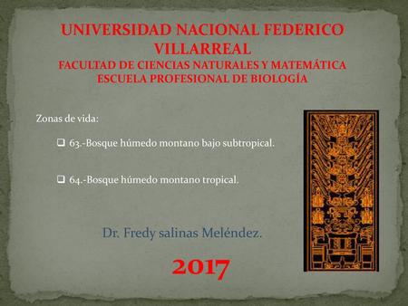 2017 UNIVERSIDAD NACIONAL FEDERICO VILLARREAL