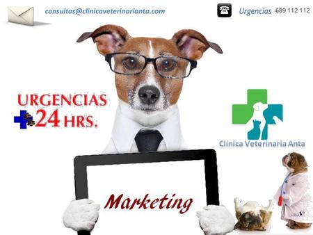 Consultas@clinicaveterinarianta.com.