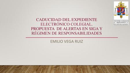 Caducidad del expediente electrónico colegial