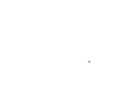 IV.