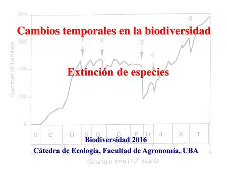 Cambios temporales en la biodiversidad Extinción de especies