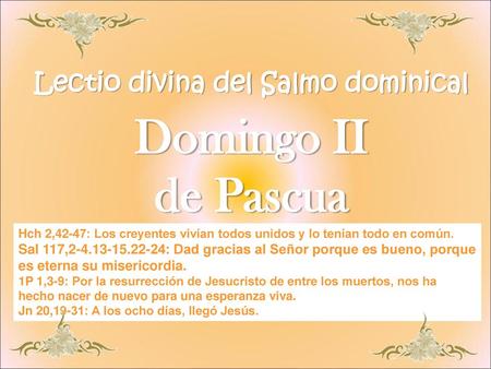Lectio divina del Salmo dominical