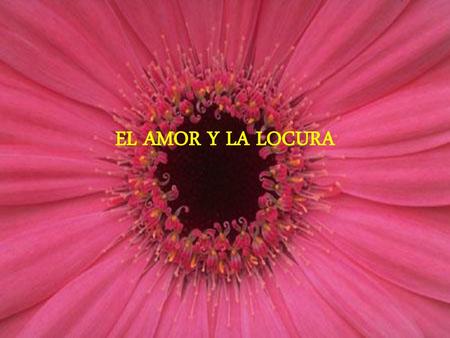 EL AMOR Y LA LOCURA.