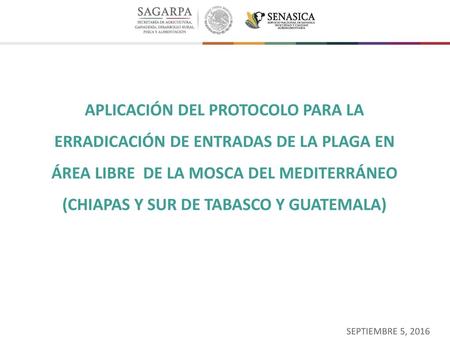APLICACIÓN DEL PROTOCOLO PARA LA ERRADICACIÓN DE ENTRADAS DE LA PLAGA EN ÁREA LIBRE DE LA MOSCA DEL MEDITERRÁNEO (CHIAPAS Y SUR DE TABASCO Y GUATEMALA)