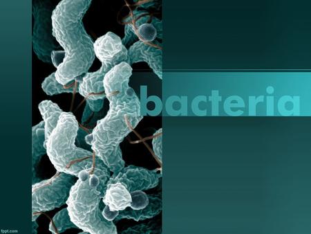 Organismos unicelulares microscópicos (MICROORGANISMOS) La bacteria es el más simple y abundante de los organismos y puede vivir en tierra, agua, materia.