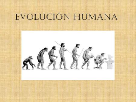 EVOLUCIÓN HUMANA.