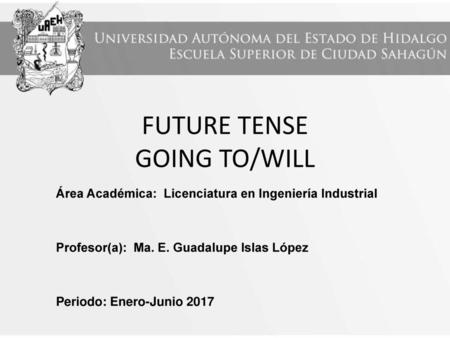 FUTURE TENSE GOING TO/WILL
