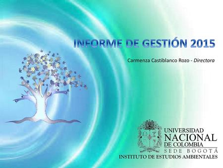 INFORME DE GESTIÓN 2015 Carmenza Castiblanco Rozo - Directora.