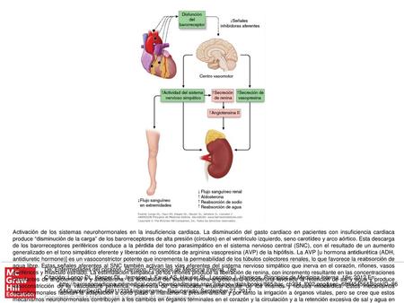Activación de los sistemas neurohormonales en la insuficiencia cardiaca. La disminución del gasto cardiaco en pacientes con insuficiencia cardiaca produce.