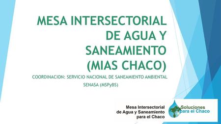 MESA INTERSECTORIAL DE AGUA Y SANEAMIENTO (MIAS CHACO)