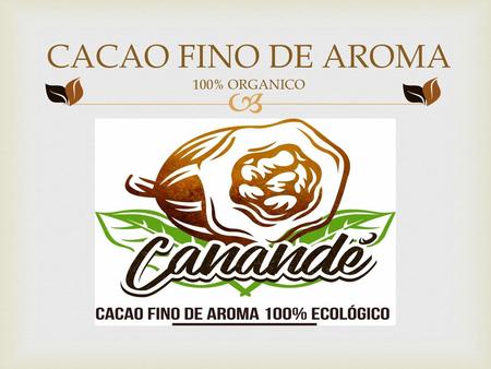 CACAO FINO DE AROMA 100% ORGANICO