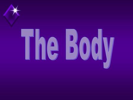 The Body.