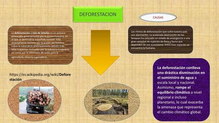 DEFORESTACION CAUSAS La deforestación o tala de árboles es un proceso provocado generalmente por la acción humana, en el que se destruye la superficie.