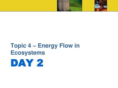 Topic 4 – Energy Flow in Ecosystems