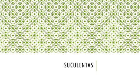 Suculentas.