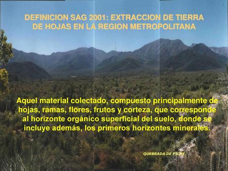 DEFINICION SAG 2001: EXTRACCION DE TIERRA DE HOJAS EN LA REGION METROPOLITANA Aquel material colectado, compuesto principalmente de hojas, ramas, flores,