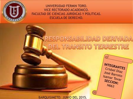 RESPONSABILIDAD DERIVADA DEL TRANSITO TERRESTRE