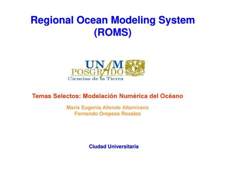 Regional Ocean Modeling System (ROMS)