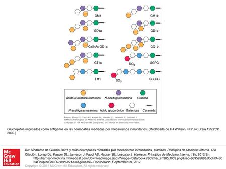 Glucolípidos implicados como antígenos en las neuropatías mediadas por mecanismos inmunitarios. (Modificada de HJ Willison, N Yuki: Brain 125:2591, 2002.)