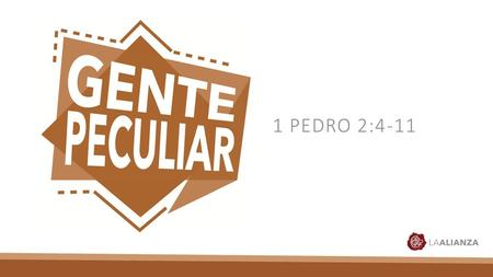 1 PEDRO 2:4-11.