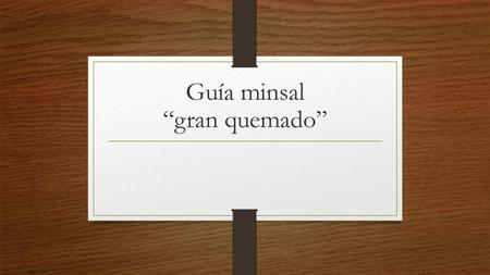 Guía minsal “gran quemado”