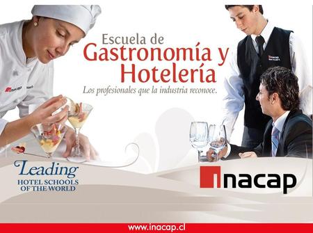 Nivel Profesional Nivel Técnico 4 Años 2 Años