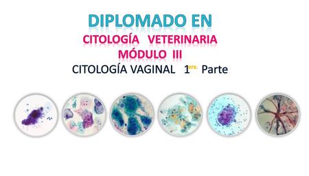 DIPLOMADO EN CITOLOGÍA VETERINARIA
