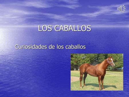 Curiosidades de los caballos