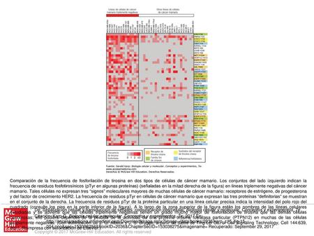 Comparación de la frecuencia de fosforilación de tirosina en dos tipos de células de cáncer mamario. Los conjuntos del lado izquierdo indican la frecuencia.