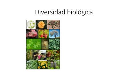 Diversidad biológica.