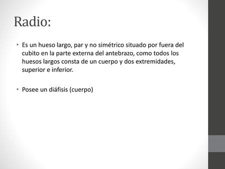 Radio: Es un hueso largo, par y no simétrico situado por fuera del cubito en la parte externa del antebrazo, como todos los huesos largos consta de un.