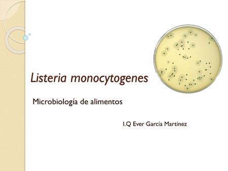 Listeria monocytogenes