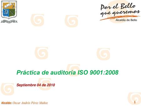 Práctica de auditoría ISO 9001:2008