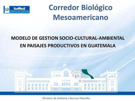 Corredor Biológico Mesoamericano