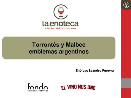 Torrontés y Malbec emblemas argentinos