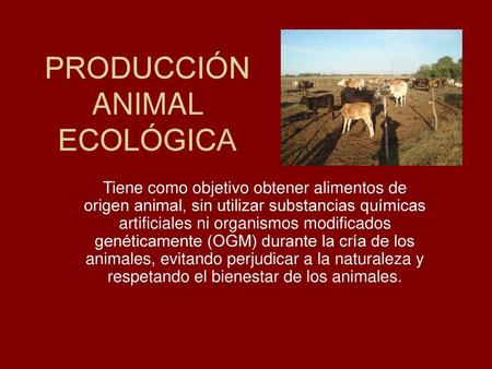 PRODUCCIÓN ANIMAL ECOLÓGICA